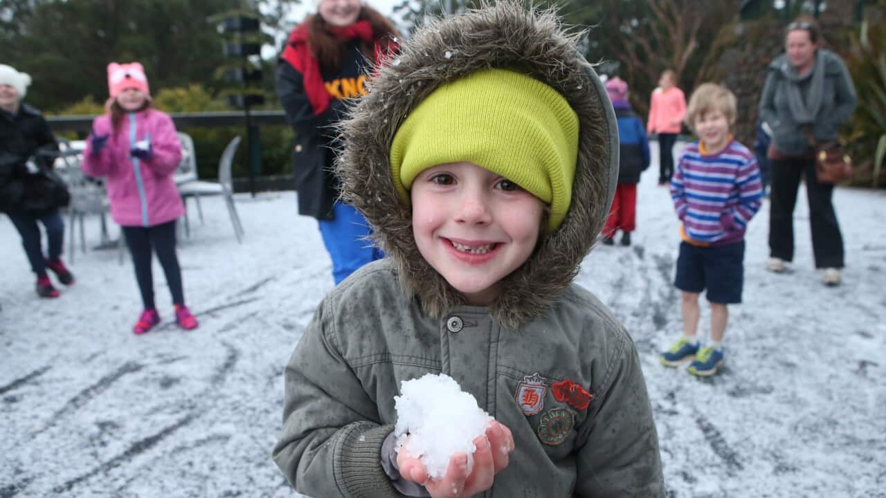 8yr old Zander Vandoon at Mt Dandenong in Melbourne's outer suburbs. Aug 1, 2014. (AAP Image/David Crosling) 
