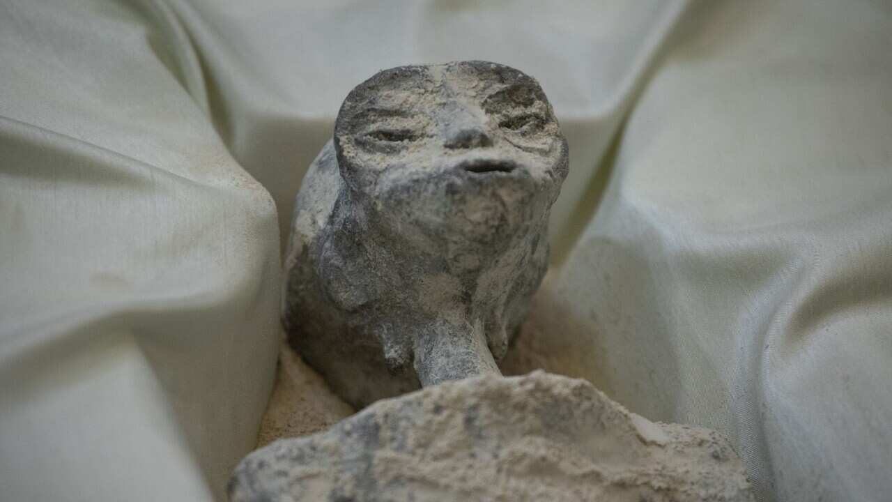 A grey 'non-human' body displayed in a case.