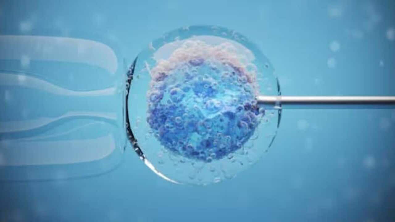 (Source Shutterstock, The Conversation KateStudio).jpg