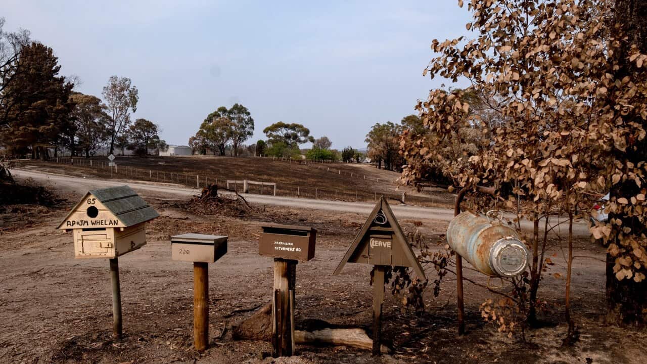 Burnt letterboxes at Clifton Creek near Bairnsdale, Vic