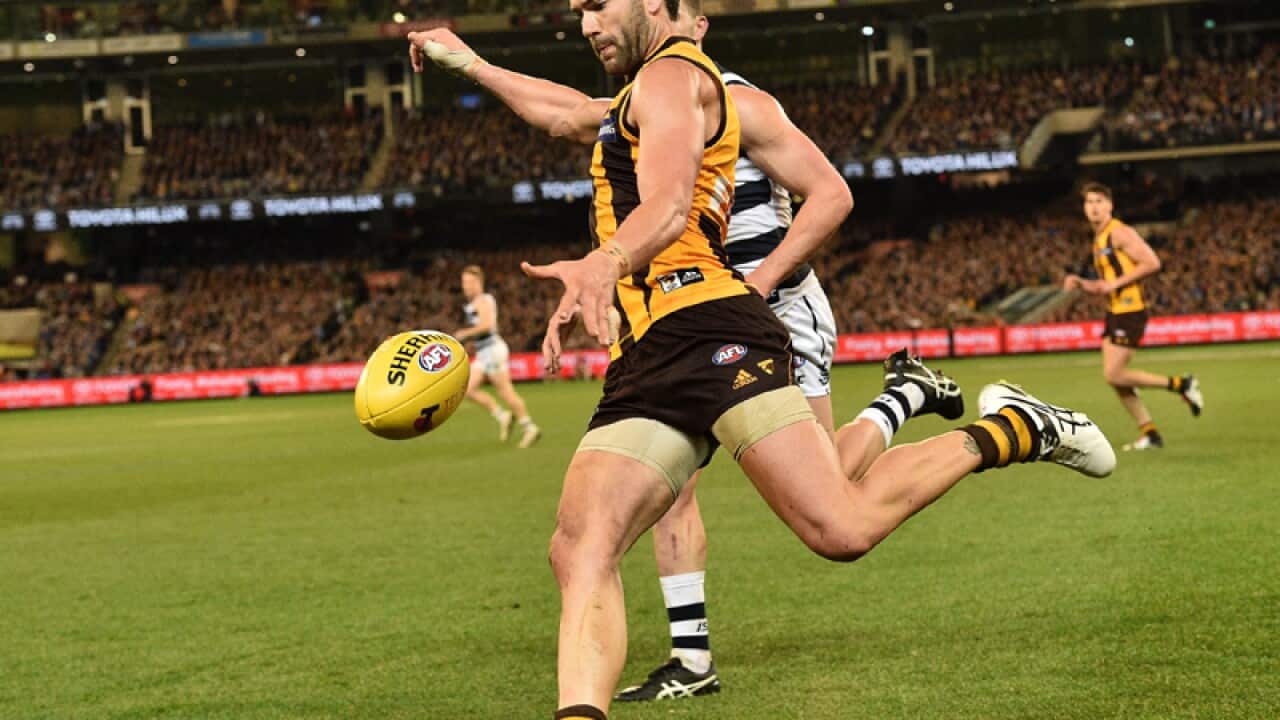 Jordan Lewis of the Hawks