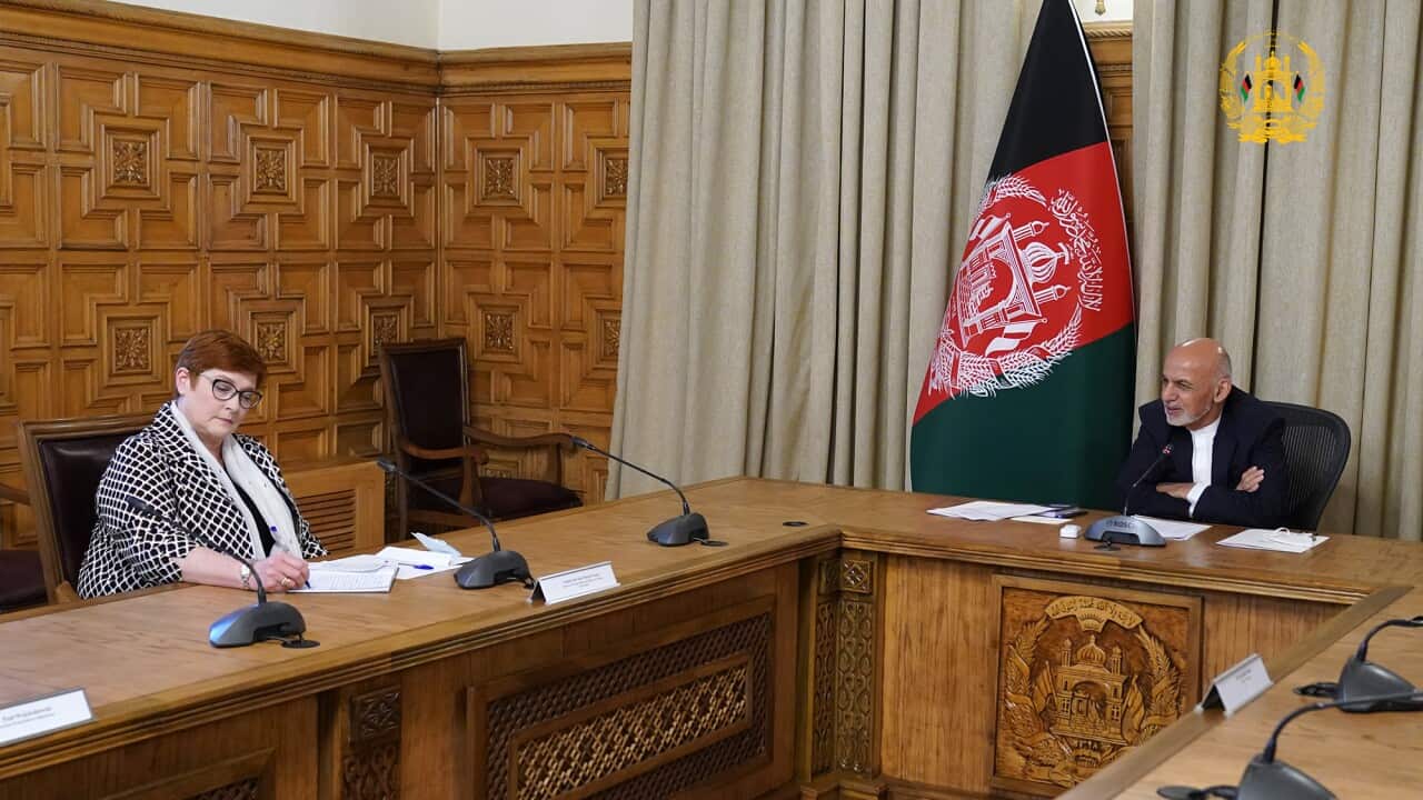 Image for read more article 'READ MORE'