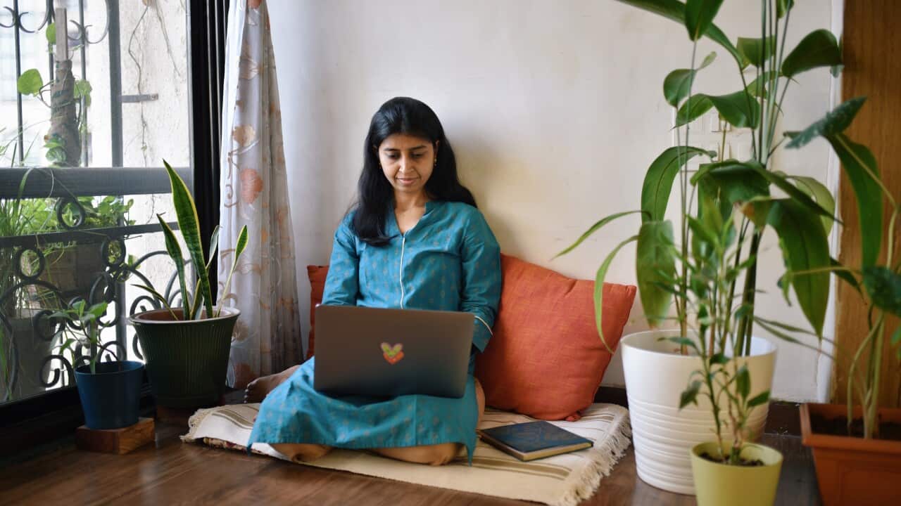 Woman working on laptop sitting next to window surrounded with plant pots