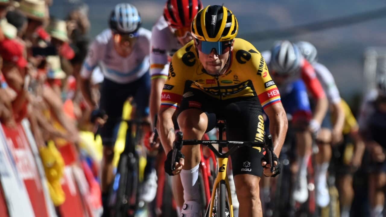 Image for read more article 'READ MORE'