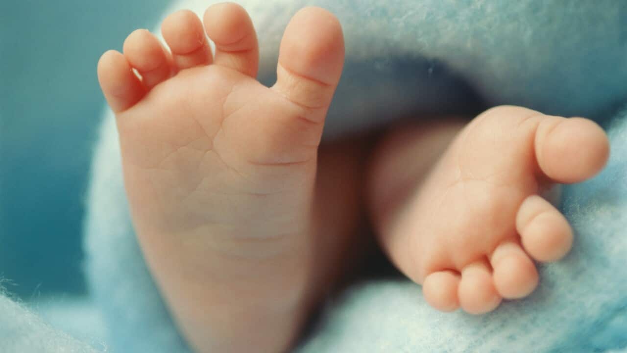 Baby's feet (0-3 months), close-up
