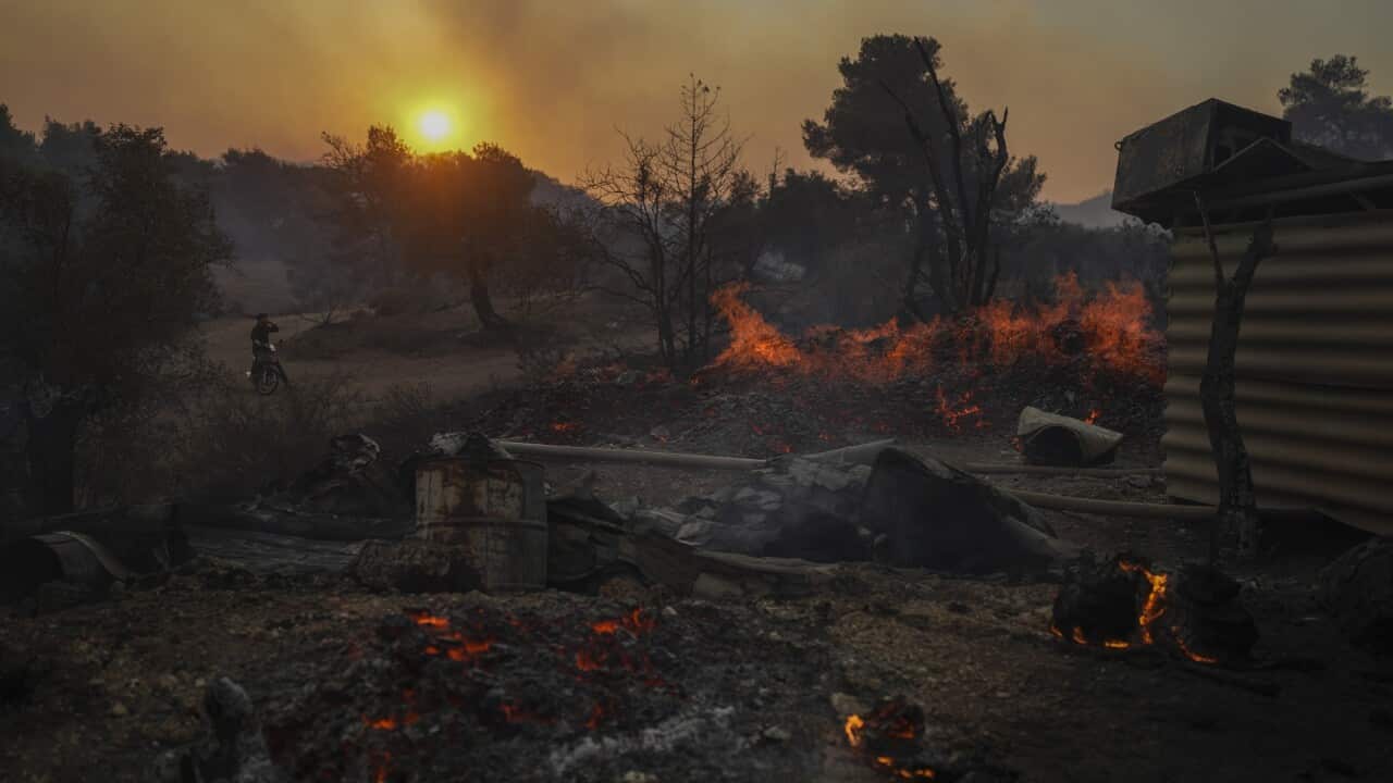 Greece Wildfires