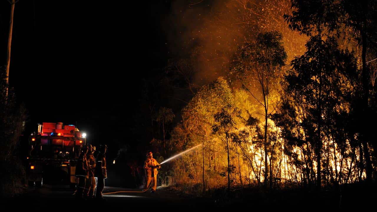springwood_nsw_bushfire_aap.jpg