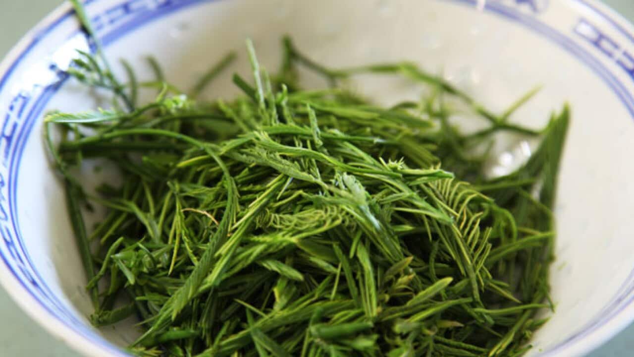 Image for read more article 'Thai Food Safari recipes'