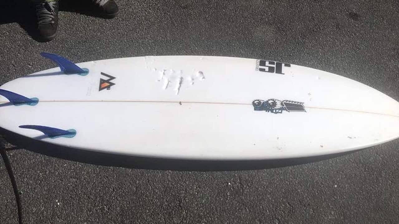 Bite marks on a surfboard