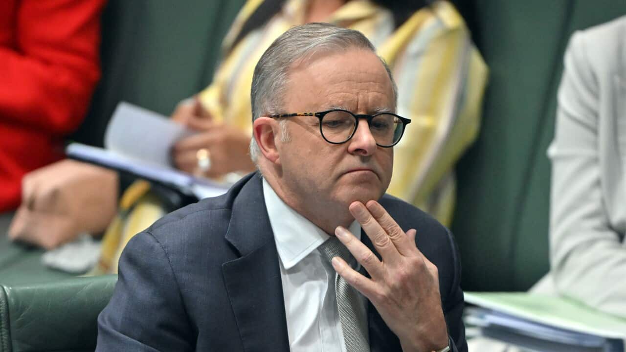 Image for read more article 'READ MORE'