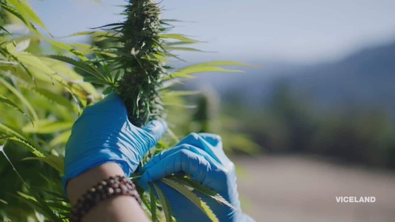 Image for read more article 'READ MORE'