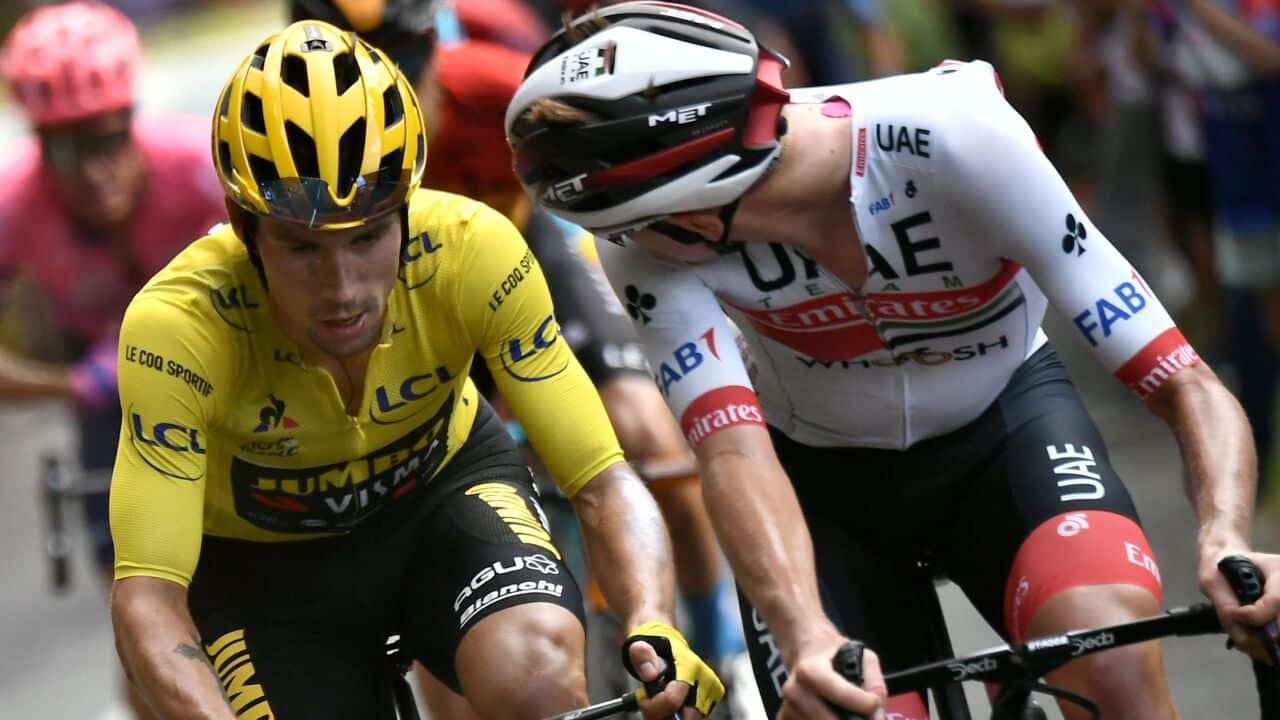 Tadej Pogacar, Primoz Roglic, Stage 13, Tour de France