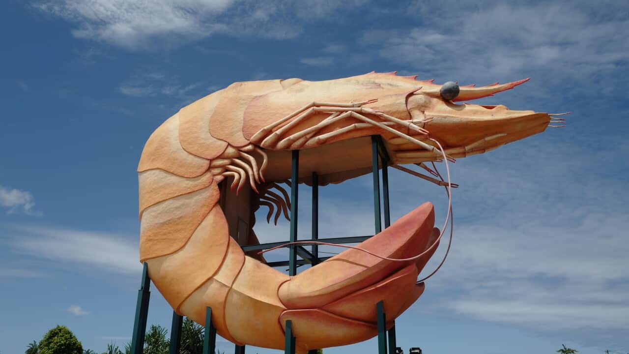 Big Prawn in Bunnings car park, Ballina, New South Wales, Australia