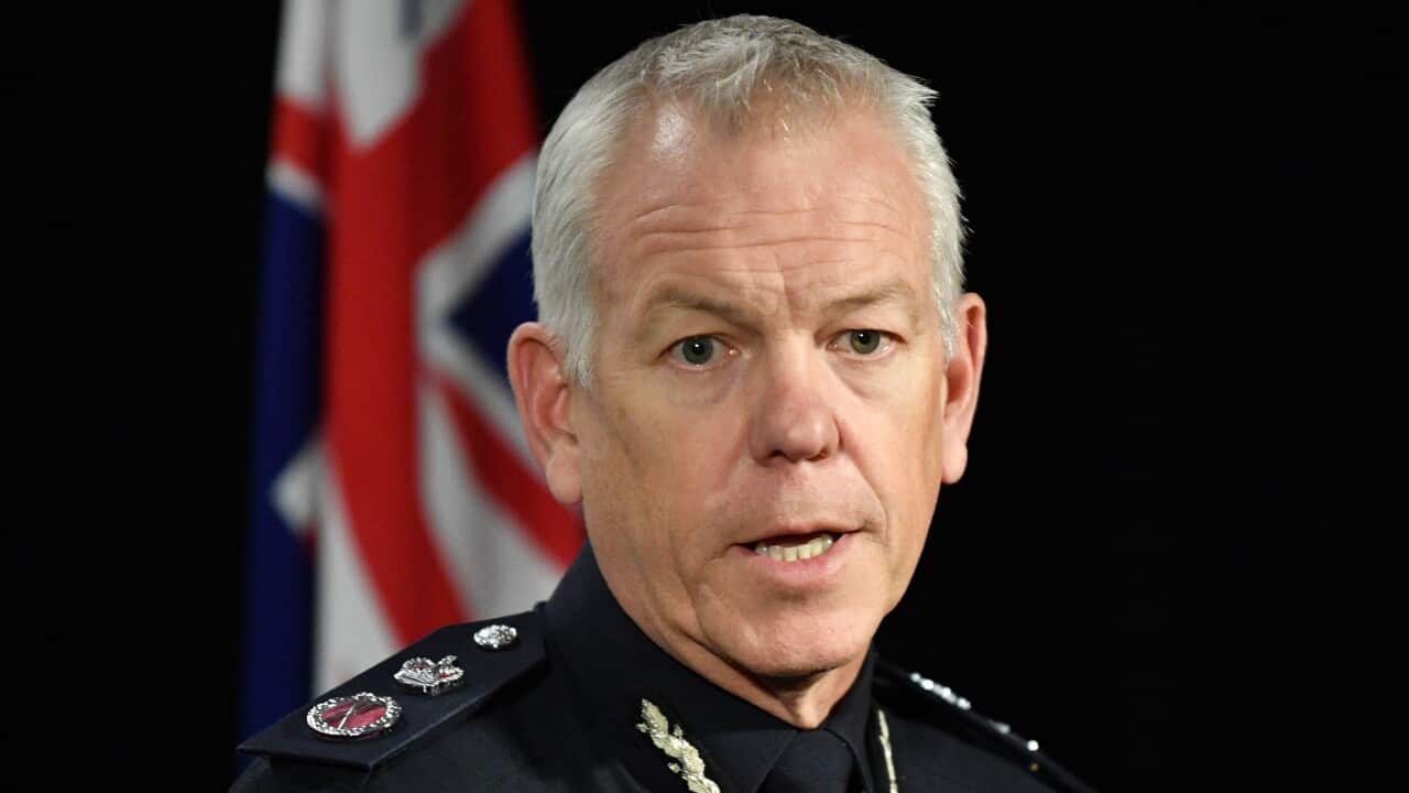 South Australian Police Commissioner Grant Stevens has urged people to steer clear of Black Lives Matter rallies. 