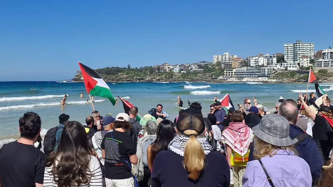 PRO PALESTINE PROTEST BONDI BEACH