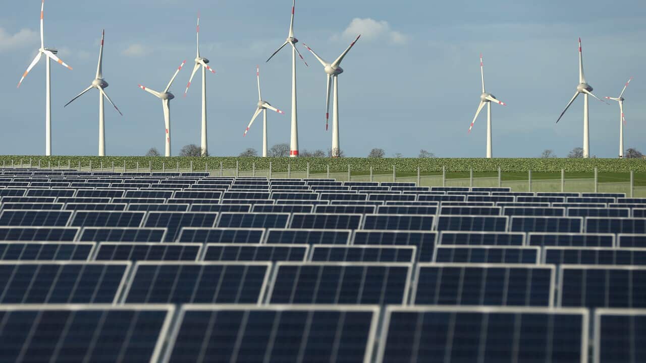   Wind turbines stand behind a solar power park  in Germany.