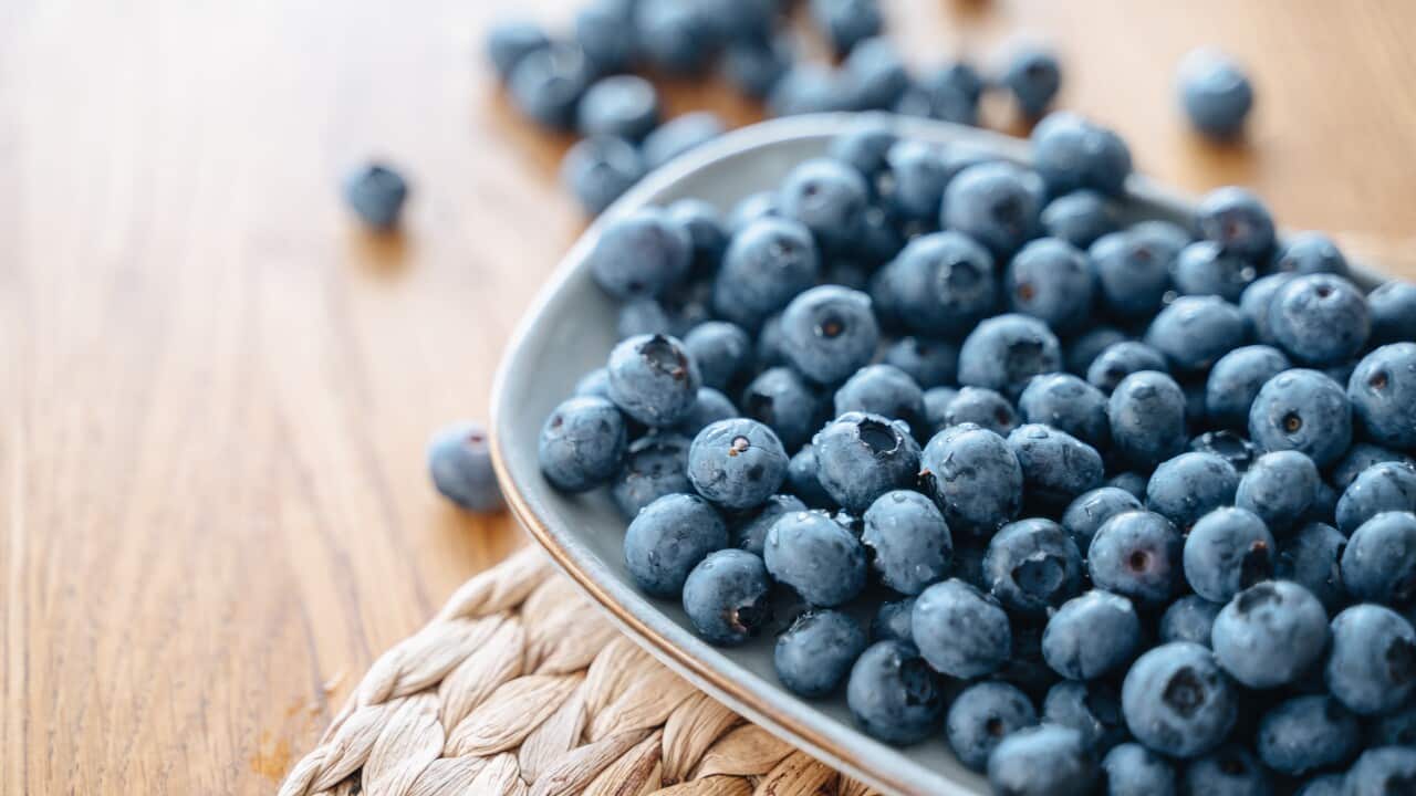 Blueberries in a dish.