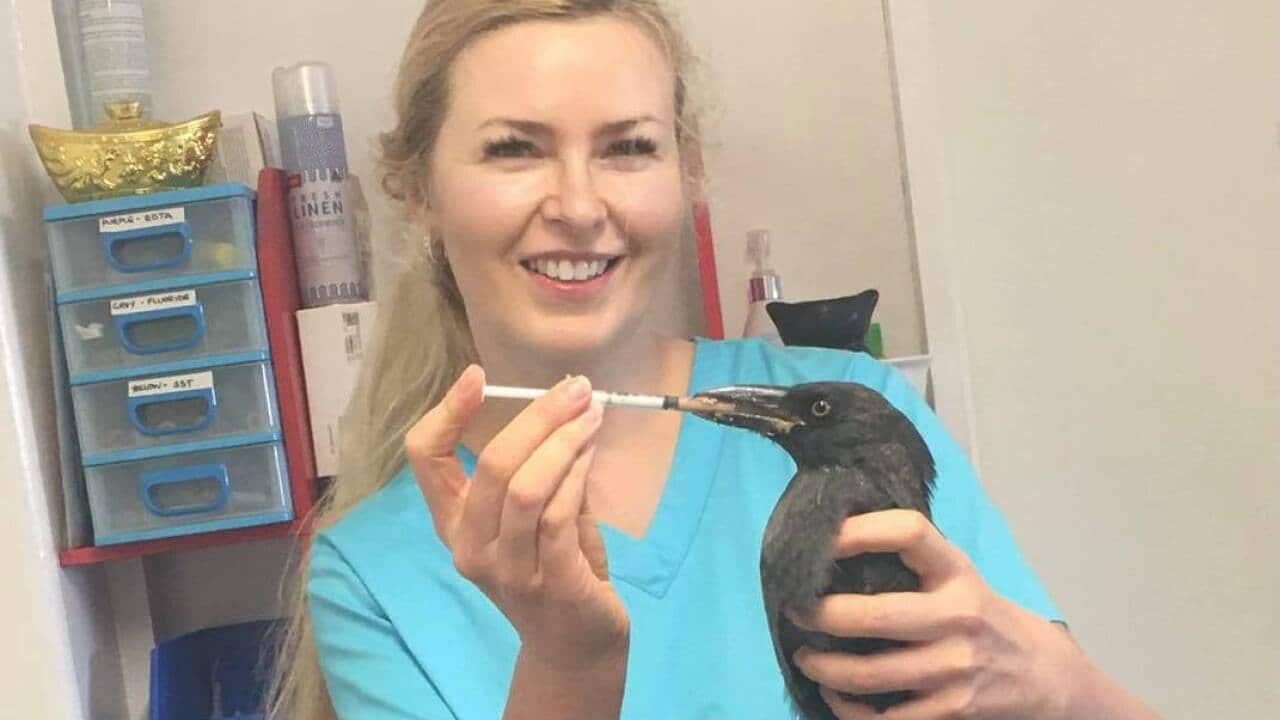 Veterinarian Nonna Green