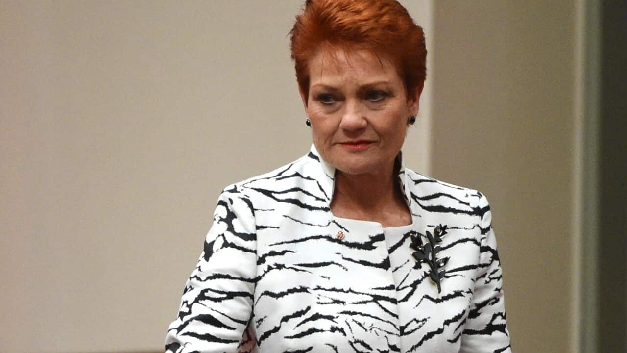 File image of One Nation leader Pauline Hanson
