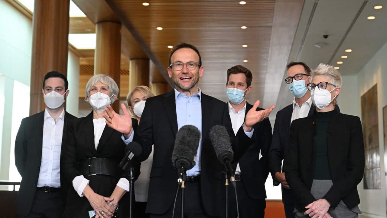 GREENS ADAM BANDT PRESSER