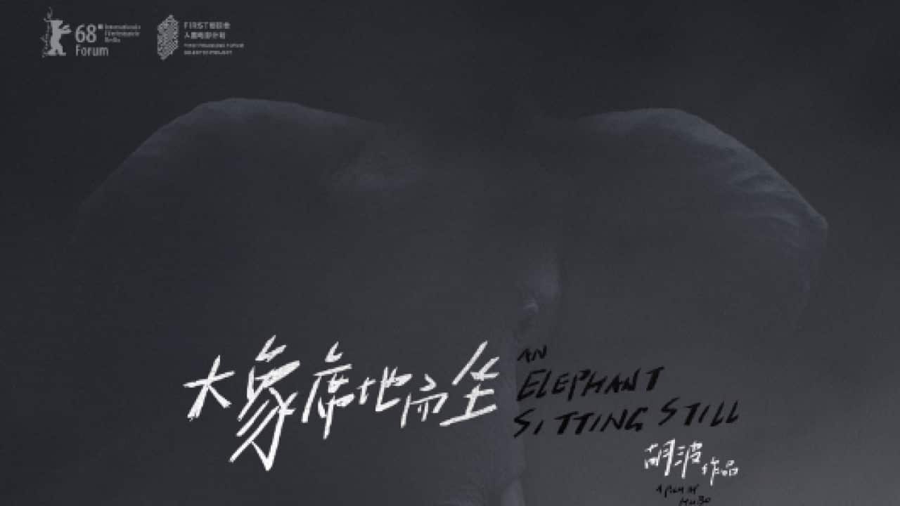 Image for read more article ''