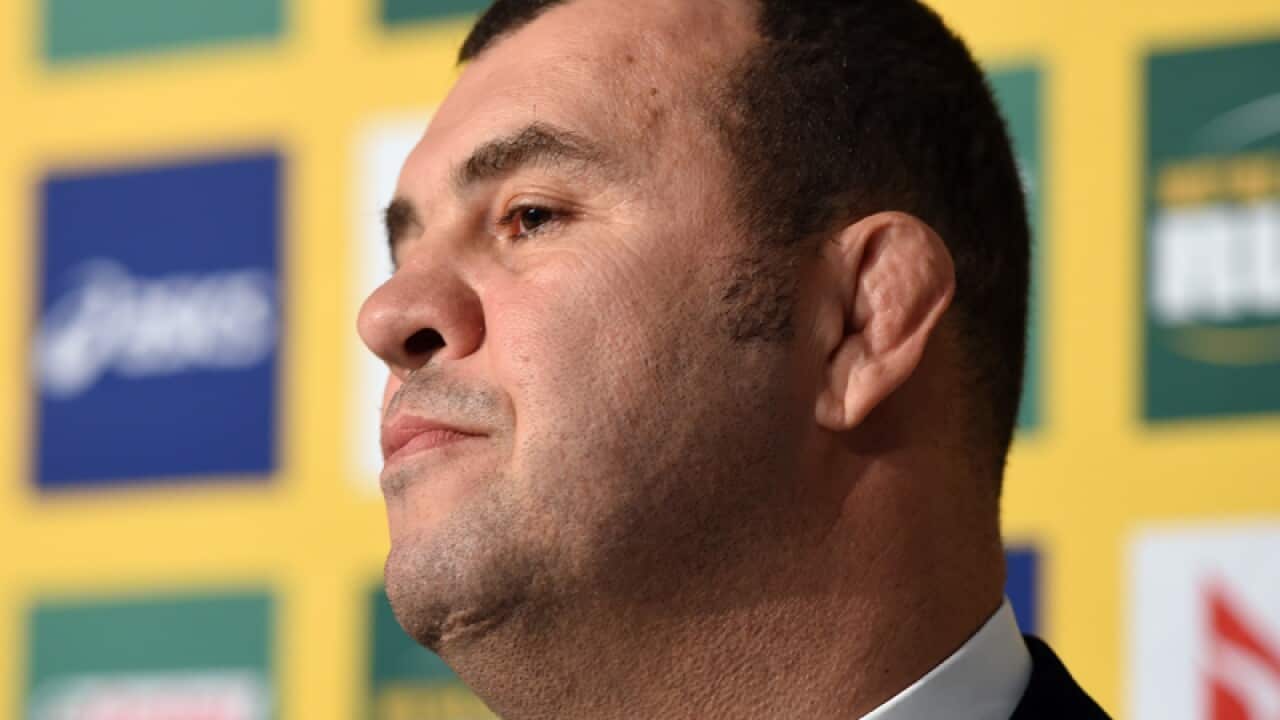 NSW Waratahs coach Michael Cheika