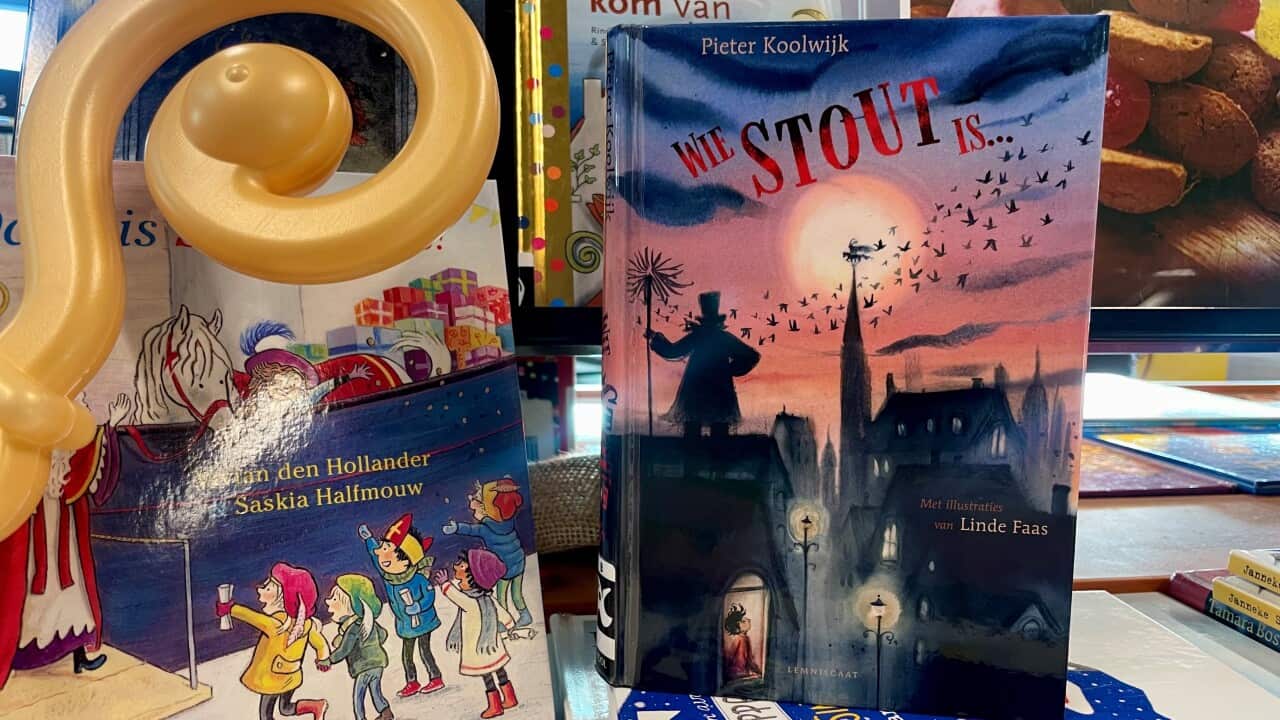 Kinderboek Wie stout is van Pieter Koolwijk