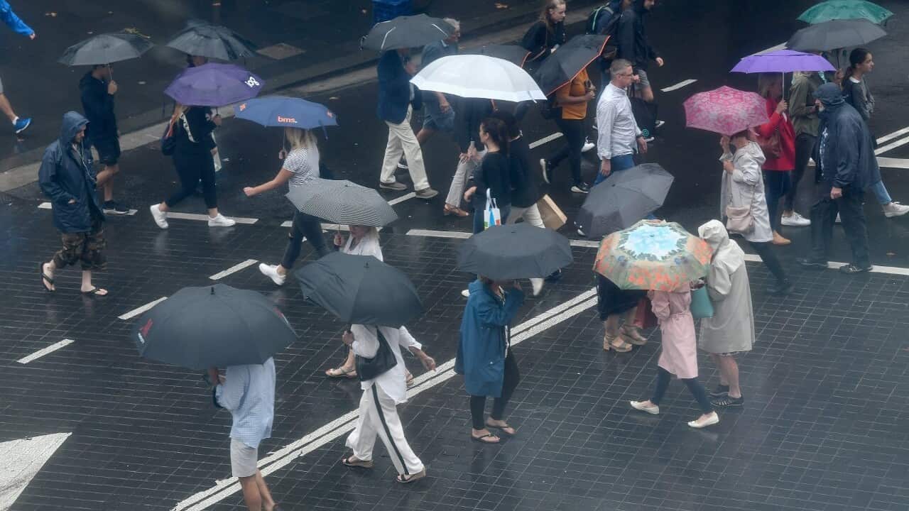 Pedestrians in Sydney's CBD (AAP)