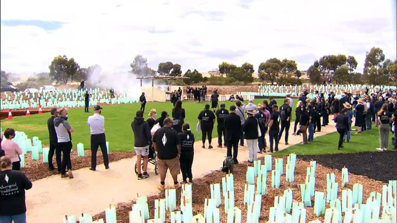 The ceremony at the Wangayarta Smithfield Memorial Park