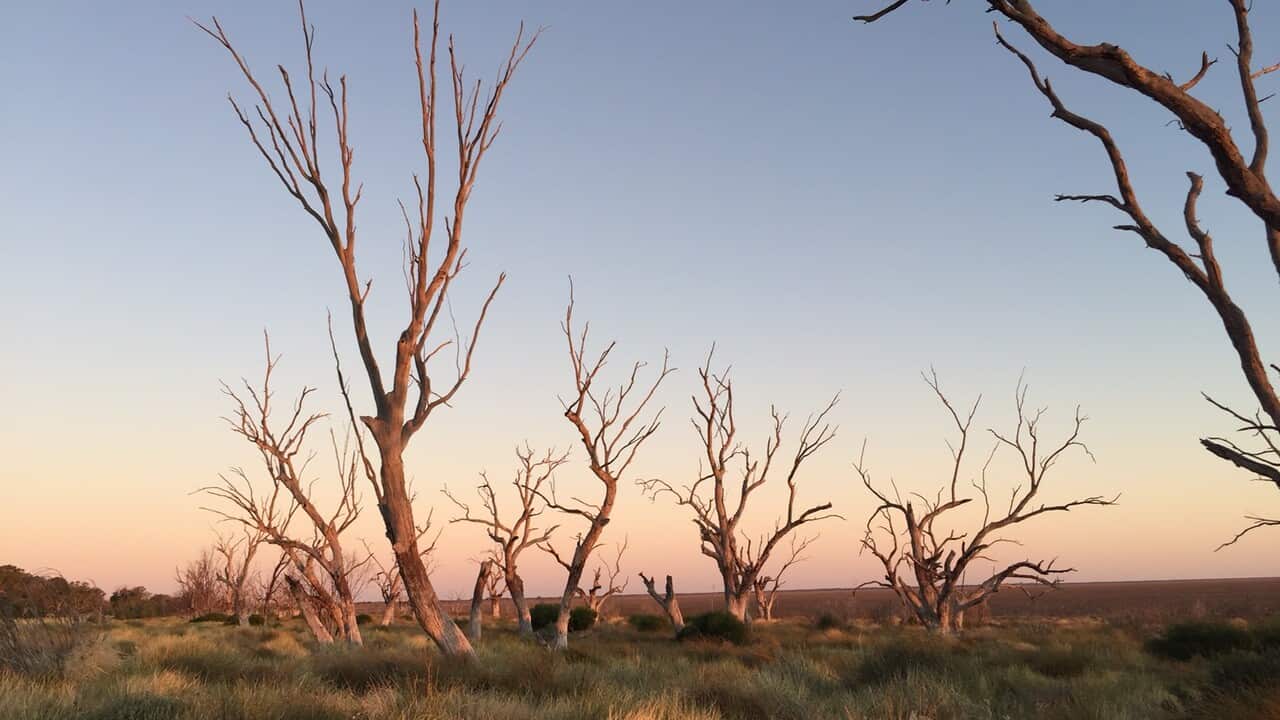 Broken Hill has endured years without rain.