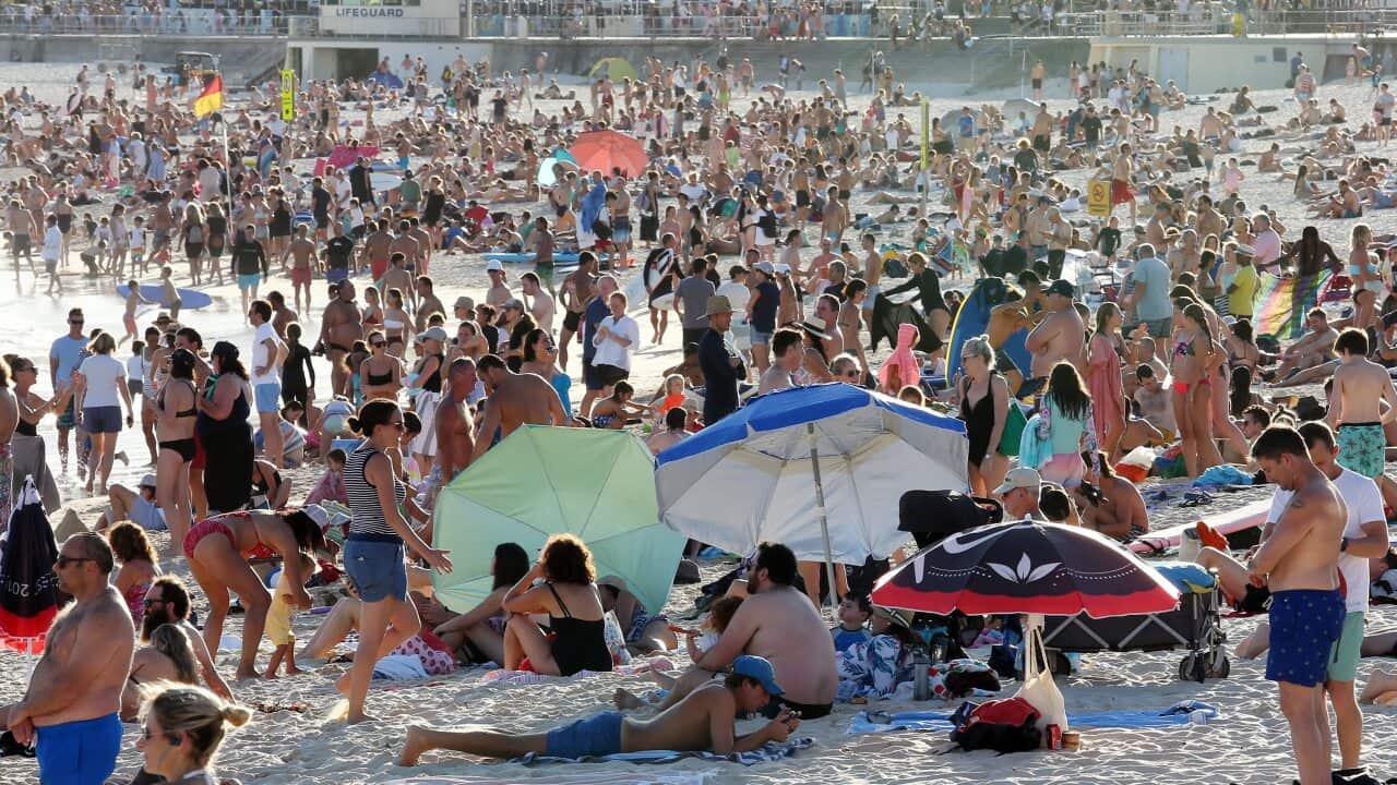 Image for read more article 'READ MORE'