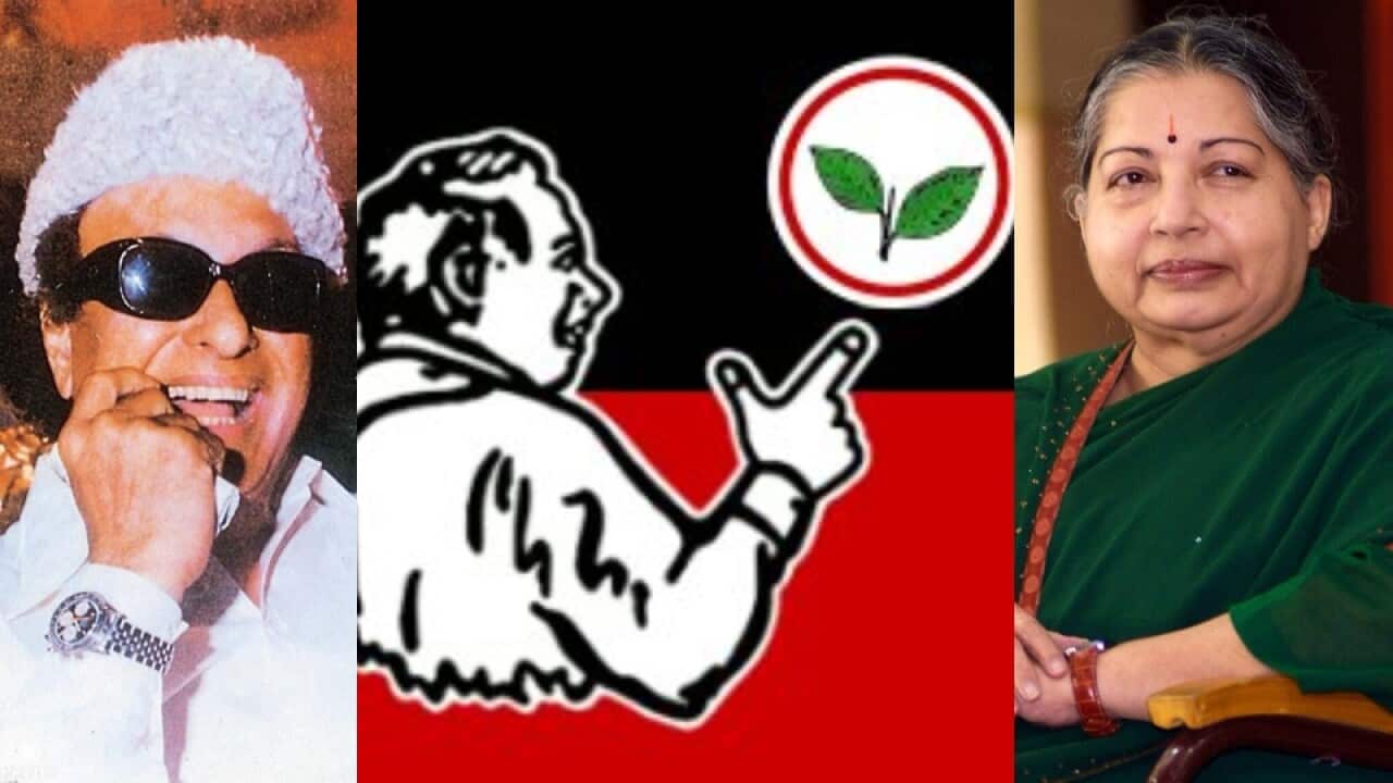 India Report.jpg