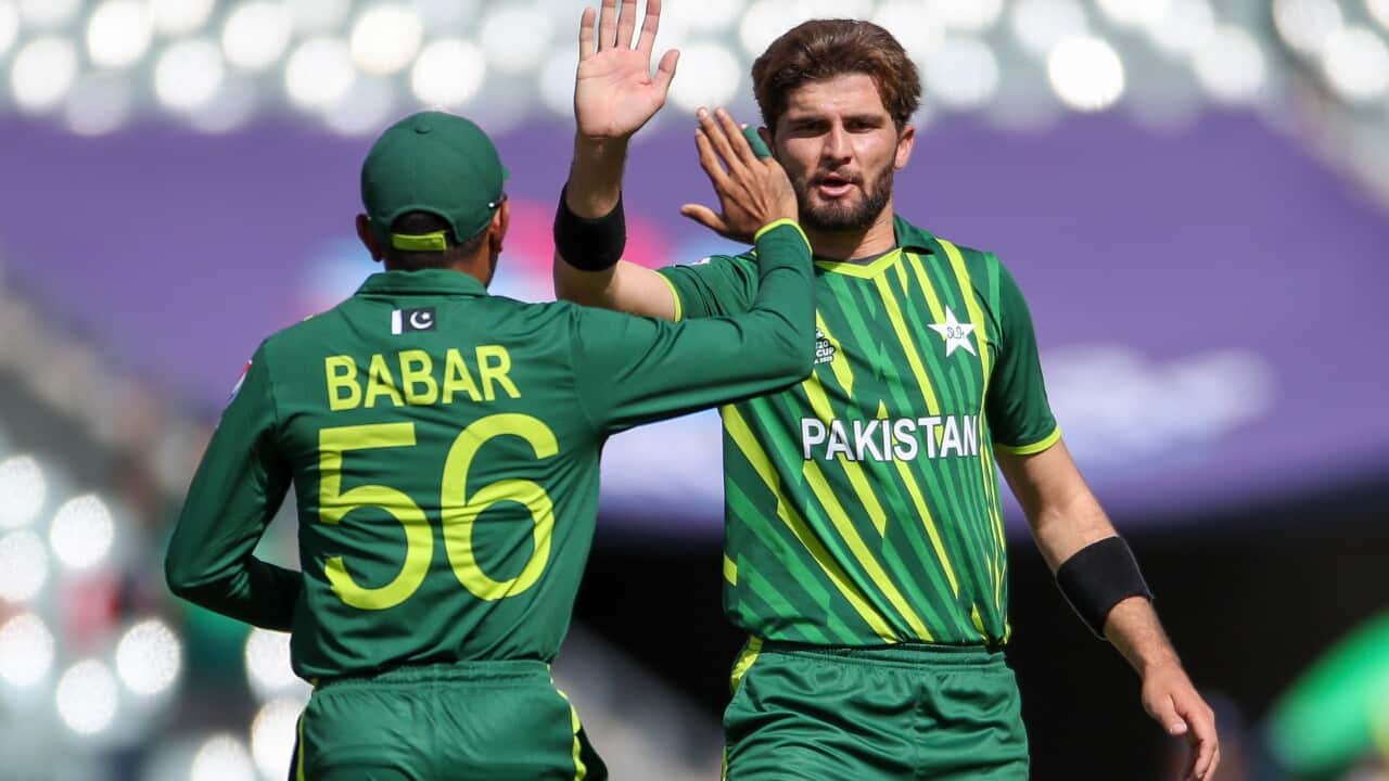 Shaheen Afridi
