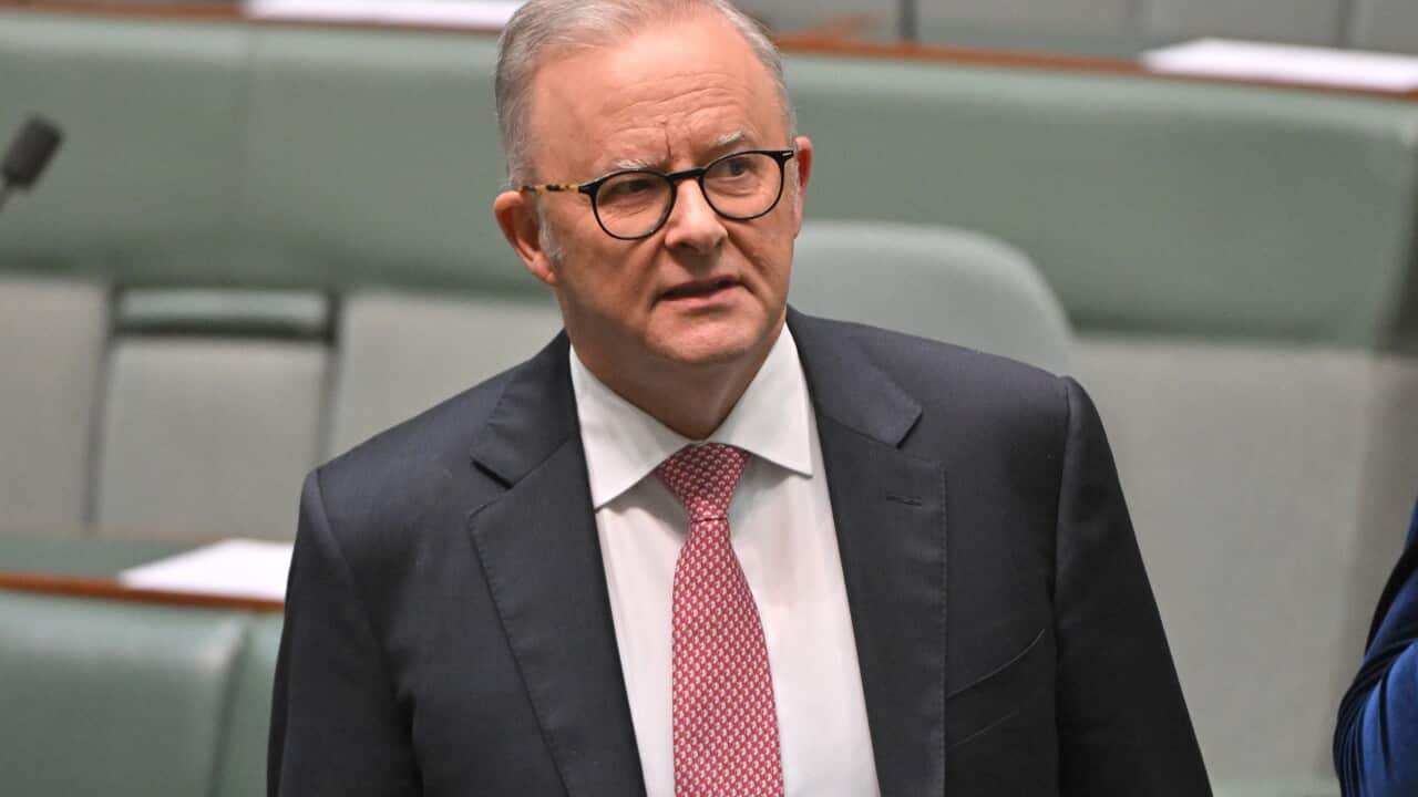 QT ANTHONY ALBANESE