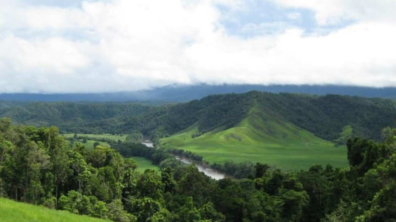 A view of the Daintree River in the Daintree Rainforest. 