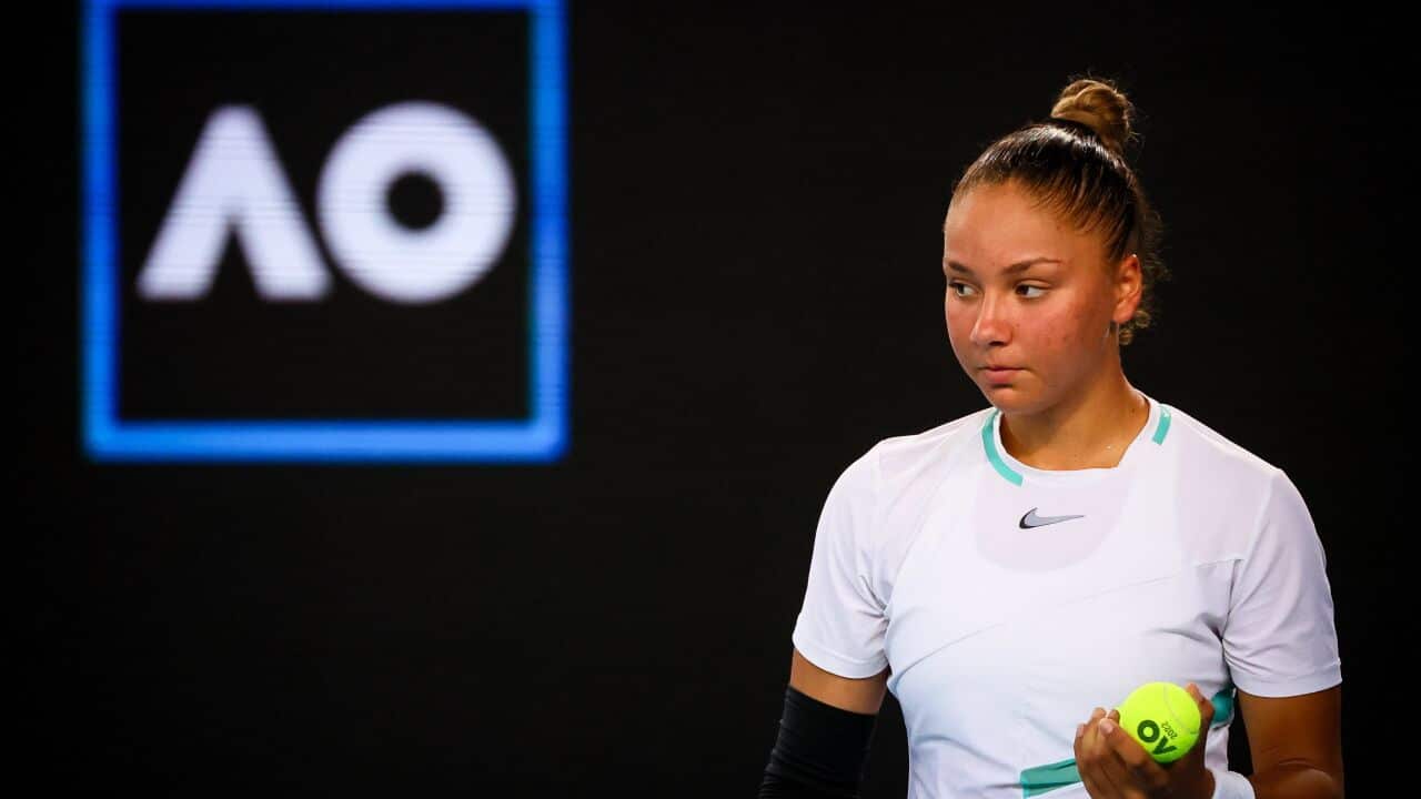 Image for read more article ''