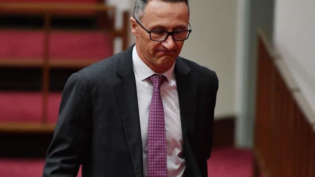 Australian Greens leader Richard Di Natale in the Senate.