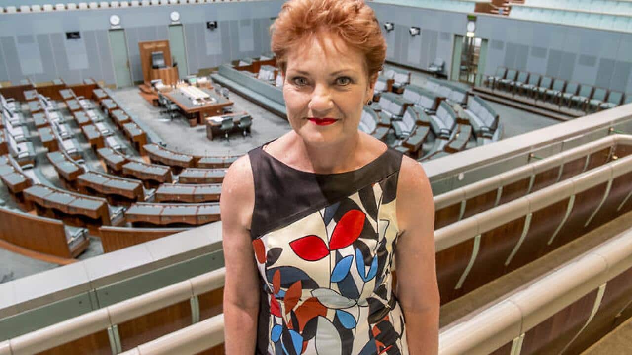 Pauline Hanson on immigration changes