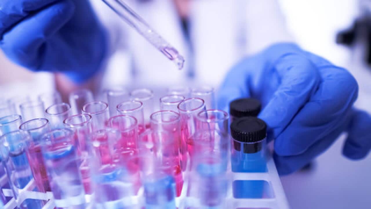 The D614G strain began spreading in Europe in late February