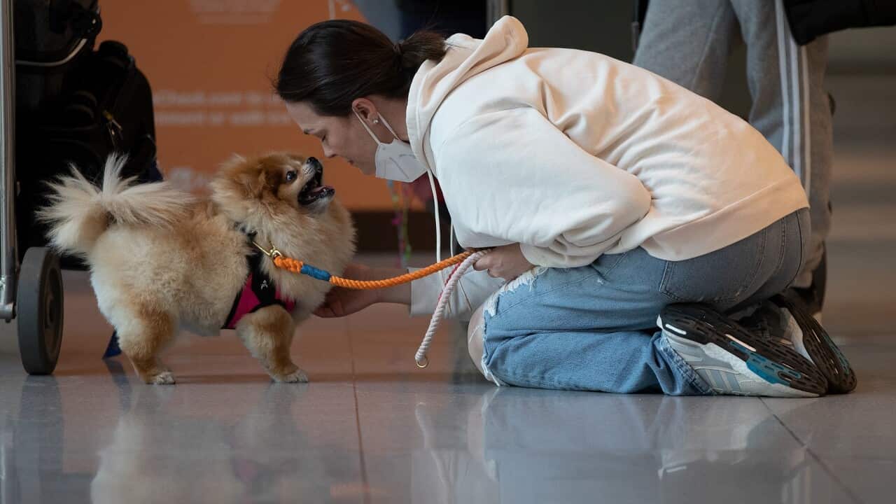 Roberta Pavel Gibson greets her dog Choo Choo
