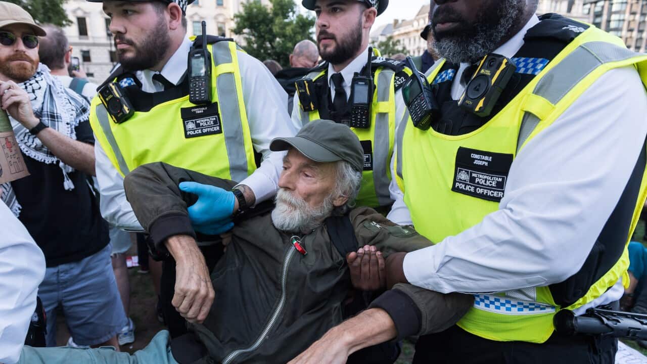 Palestine Action ban: Mass arrests in London at latest protest in support of terror-designated group