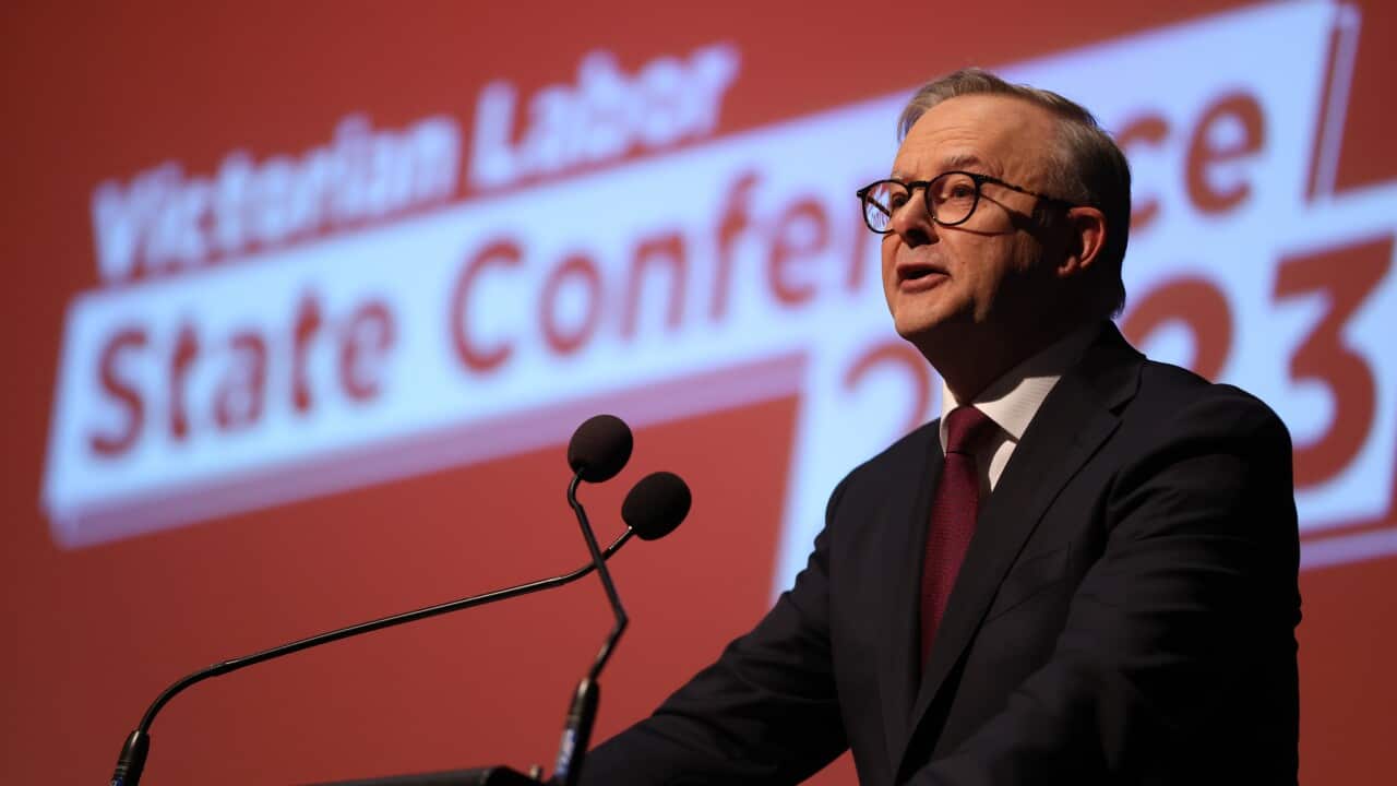 Image for read more article '更多內容'