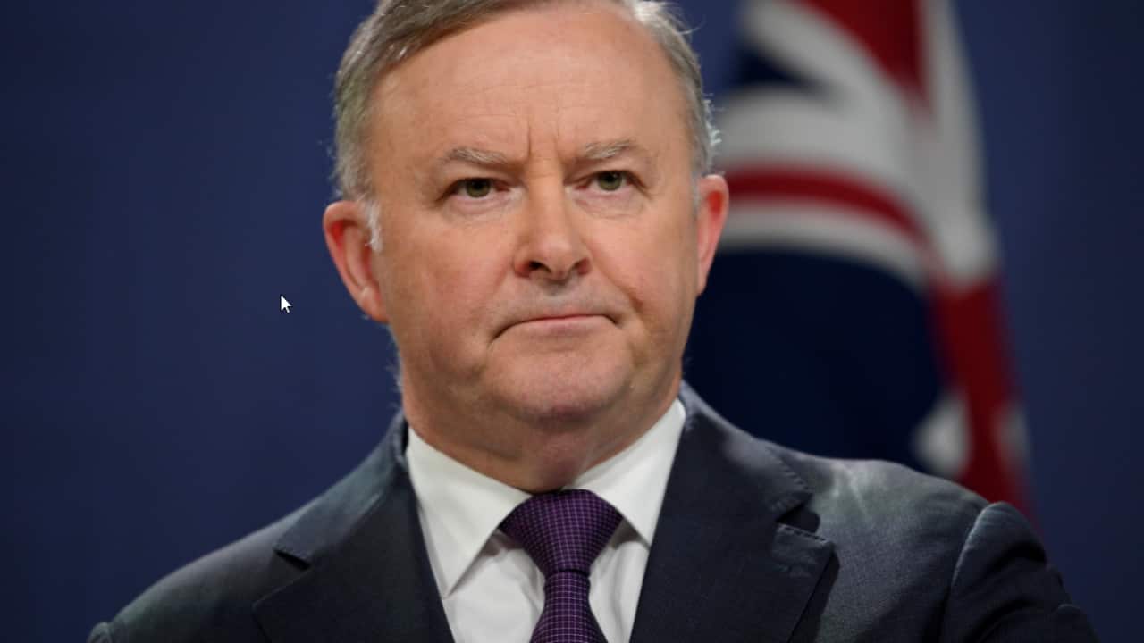 Opposition Leader Anthony Albanese addresses media during a press conference.