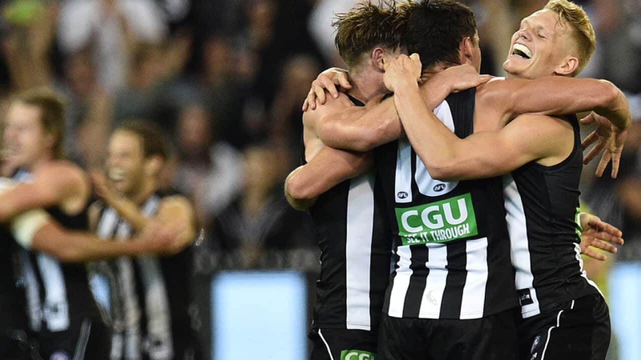 Collingwood Magpies players celebrate.