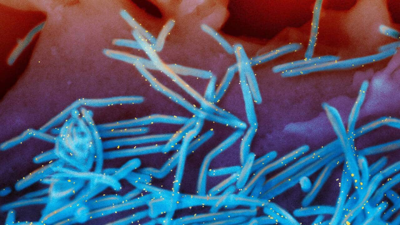 Image for read more article '更多內容'