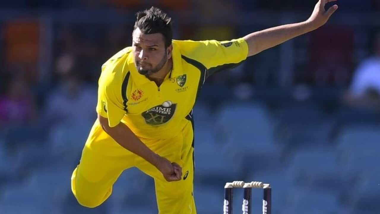 cricket