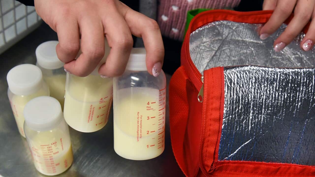 Milk banks provide premature infants with breast milk