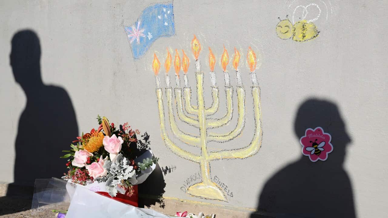 Flowere next to a wall with a chalk drawing of a menorah