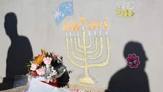 Flowere next to a wall with a chalk drawing of a menorah