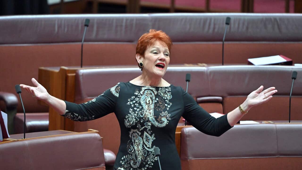 PAULINE HANSON SENATE